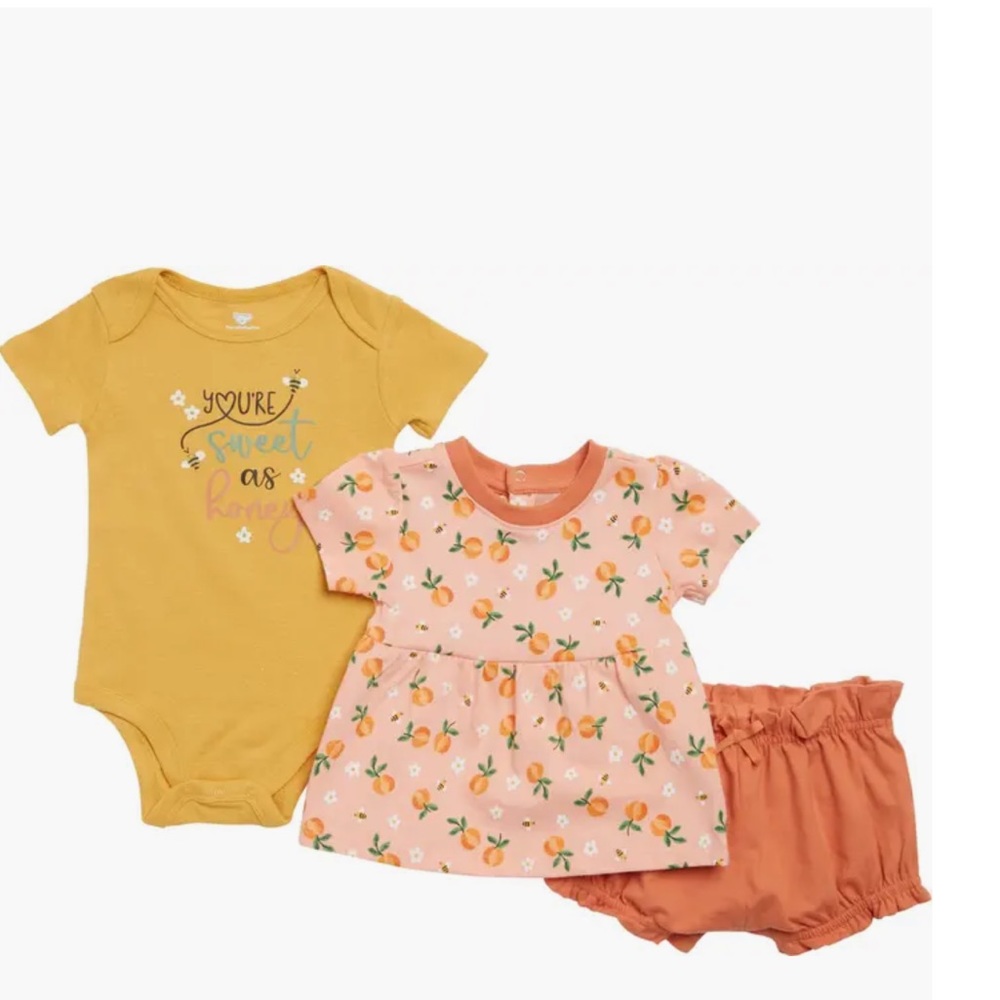 Koala baby 3 piece short set